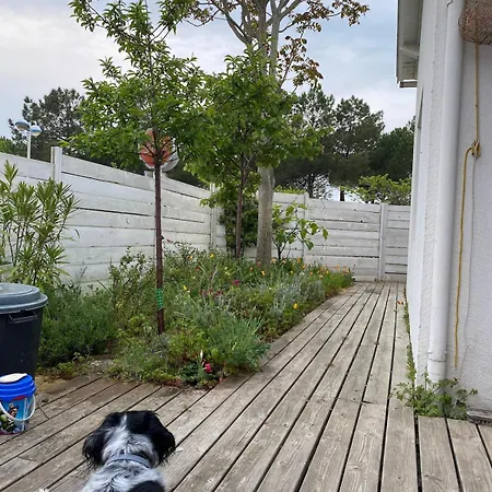 La Faute Sur Maison De Famille 20m Des Plages * L'Aiguillon-la-Presqu'ile